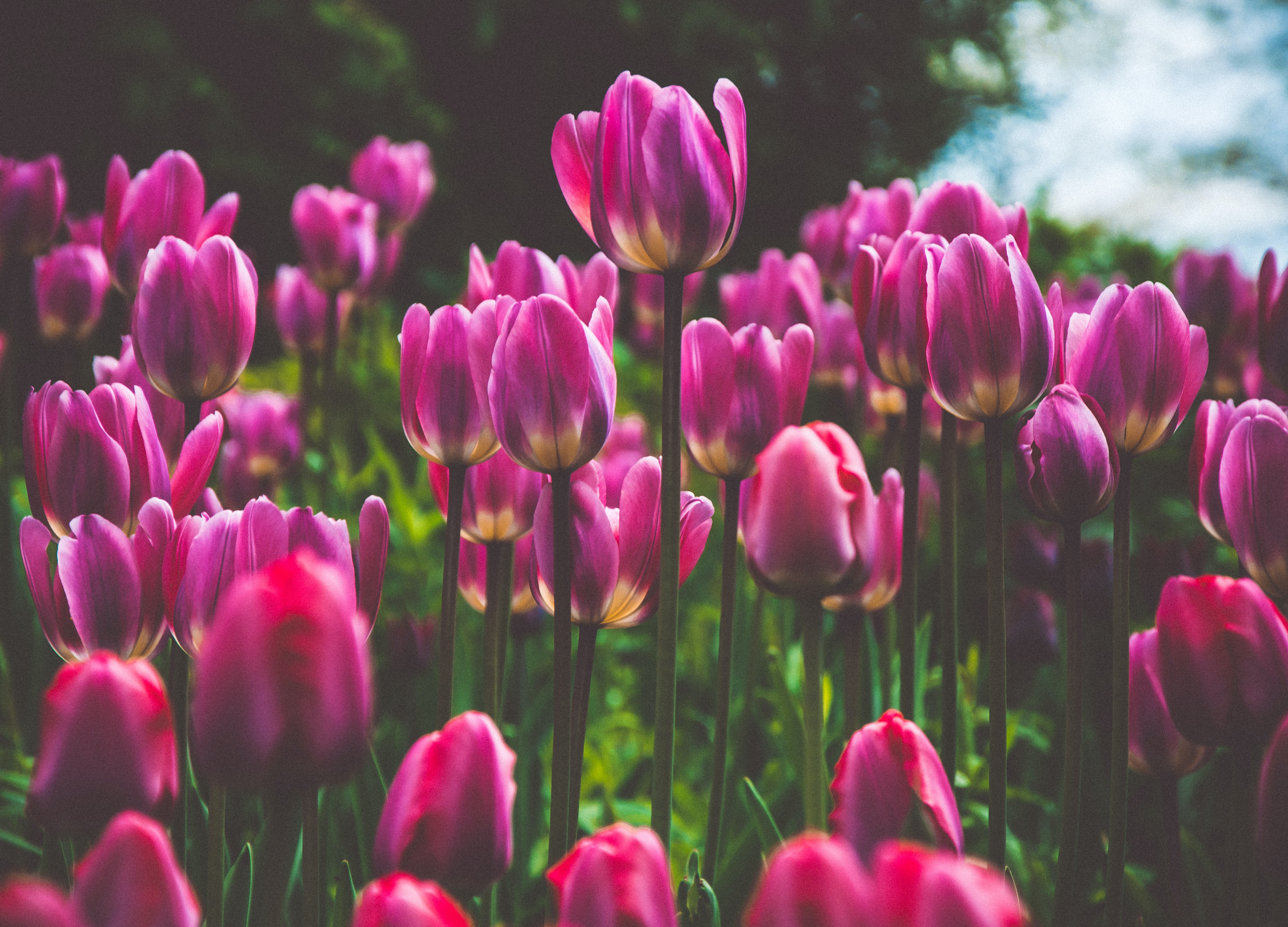 マリッジブルー対策